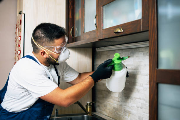 Best Emergency Pest Control  in Cameron Park, TX
