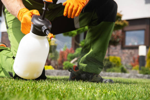 Best Bed Bug Extermination  in Cameron Park, TX