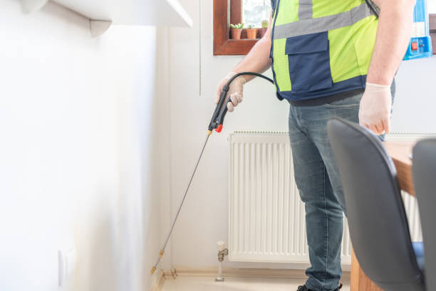 Best Affordable Pest Control Services  in Cameron Park, TX