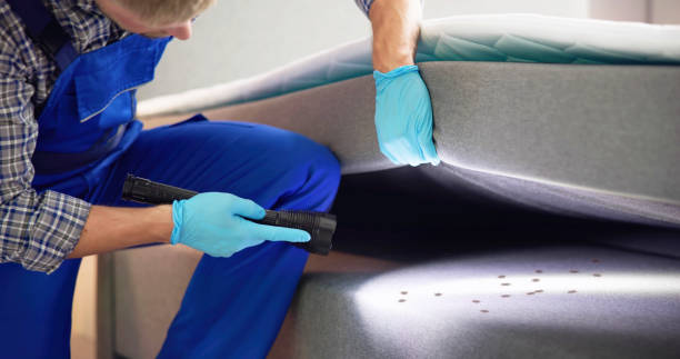 Best Termite Control Services  in Cameron Park, TX