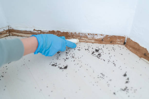 Best Wildlife Control Services  in Cameron Park, TX